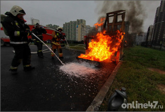Огонь под контролем: какие правила и штрафы ждут жителей Ленобласти в пожароопасный сезон