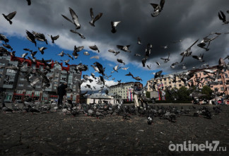 В Ленобласти 20 апреля ожидаются ночные заморозки и прохладная погода