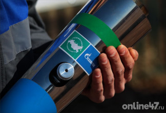 Плюс 264 дома подключены к газу за неделю в Ленобласти