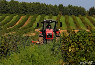 Активный май на даче: что нужно успеть сделать в саду и огороде перед началом лета