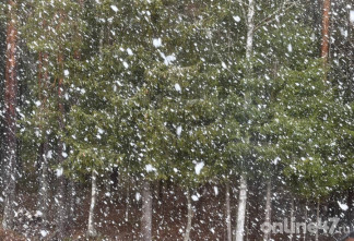 Жители Выборгского района делятся «снежными» фото
