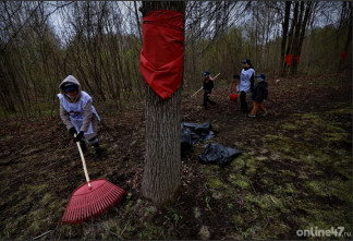 Череда экологических субботников завершилась в Ленинградской области