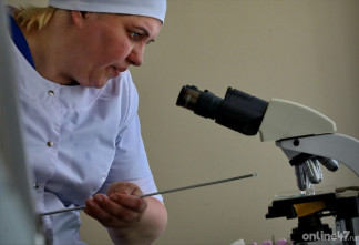 Снег не остановит клещей: сезон в Ленобласти уже начался — что нужно знать и как защититься