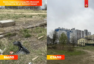 Более 200 мешков мусора собрали на весеннем субботнике в Заневском поселении