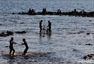 Только семь пляжей Ленобласти прошли проверку качества воды