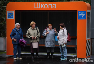 В лес — с телефоном, в воду — в жилете: как жителям Ленобласти пережить пик грибного сезона без происшествий