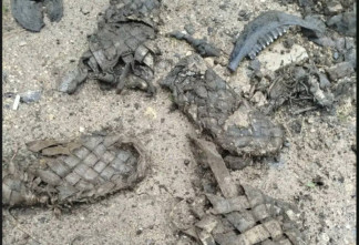 Старинные лапти нашли при ремонте водопровода в Бокситогорском районе