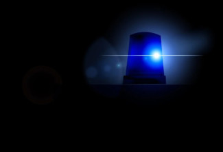 Тело пропавшего мужчины обнаружили в лесу под Гатчиной