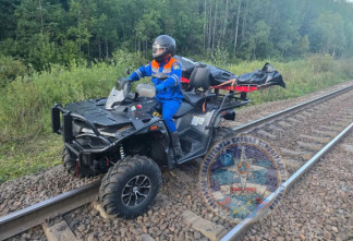 Поезд сбил двух человек насмерть на железной дороге под Тосно