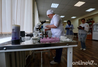 Вспышка кори рядом с Кудрово: где сделать прививку ребенку и когда взрослым идти к врачу