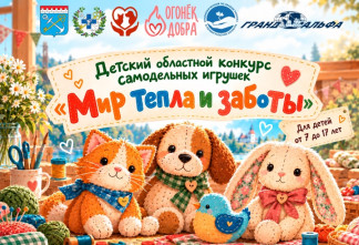 Юных жителей Ленобласти приглашают создать игрушку в виде домашнего питомца