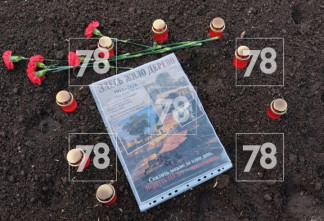 «Здесь жило дерево»: на месте 115-летнего тополя у канала Грибоедова появился стихийный мемориал