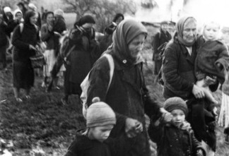 Здесь была жизнь: как немецко-фашистские оккупанты уничтожали деревни Ленинградской области